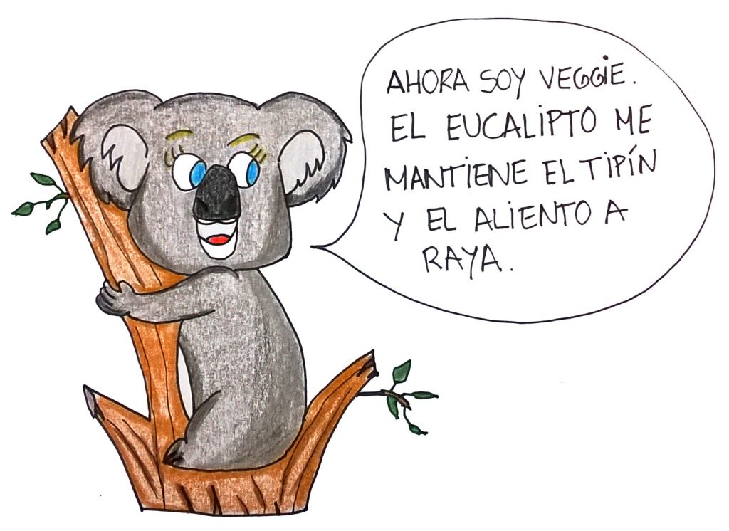 mala koala prefacio